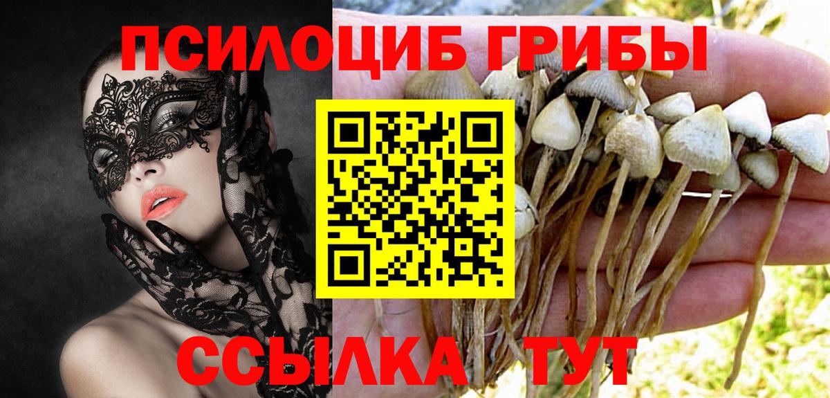 Псилоцибиновые грибы ЛСД Ялта